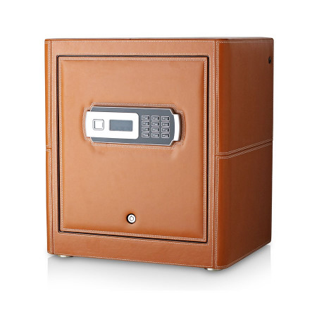 Watch Safe with Built-In Alarm System (Brown)